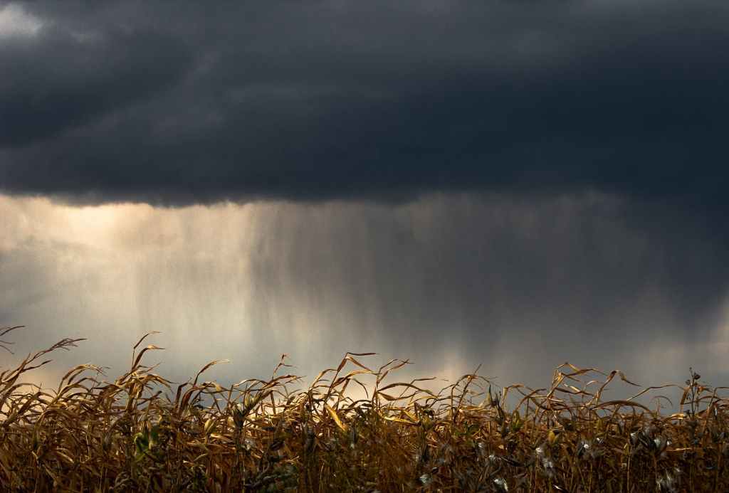 ON THE THRESHING&nbsp;FLOOR